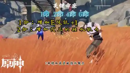 宗师月猎阵容搭配(月岛伊昂阵容搭配)插图2 宗师月猎阵容搭配(月岛伊昂阵容搭配)插图2