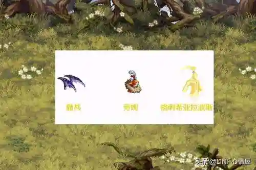dnf撒共宠物外观(DNF撒共现在还能进化吗)插图4