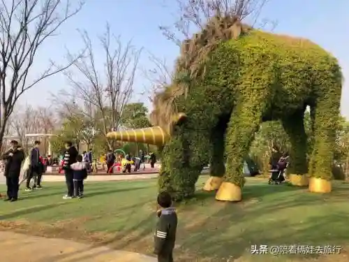 洛克王国紫藤快速获得(洛克王国紫藤150怎么弄)插图52