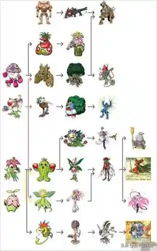 数码宝贝进化图鉴(数码兽图鉴)插图19