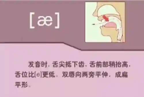 英语音标发音表(48个音标大全表图片)插图19