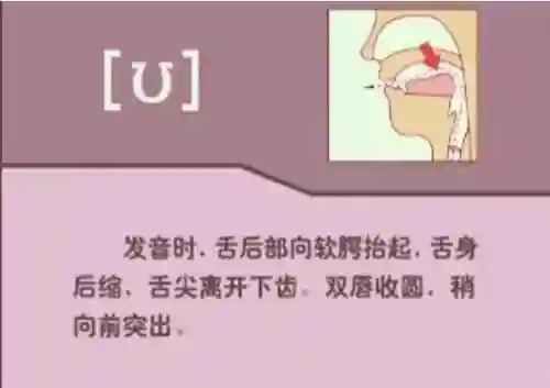 英语音标发音表(48个音标大全表图片)插图17