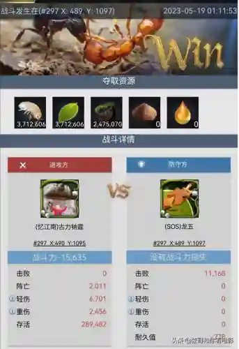 子弹猛蚁阵容搭配(蚁族崛起最强阵容推荐)插图2