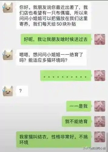 猫咪最新永久地域网名(猫咪的最新网名自动跳转)插图8 猫咪最新永久地域网名(猫咪的最新网名自动跳转)插图8