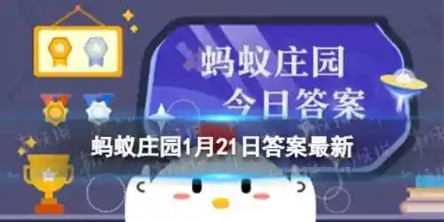花中四君子蚂蚁庄园(蚂蚁庄园的答案今天)