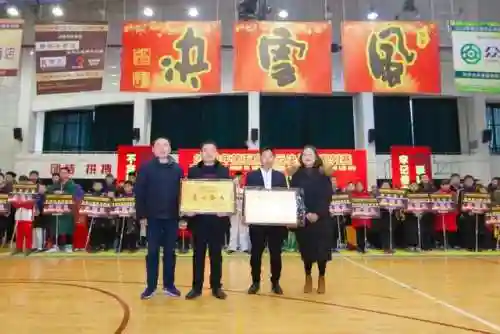 全民格斗强子阵容搭配(格斗家配什么阵容)插图9