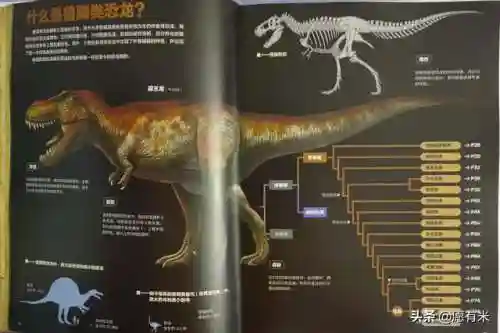 50种恐龙名称和图片(十大最著名恐龙)插图4