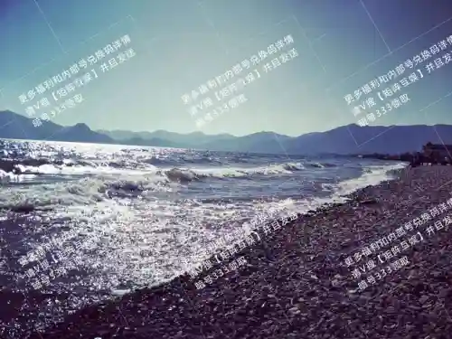 阿尔伯特偷学技能任务做不了(110版本偷学技能任务怎么完成)插图1