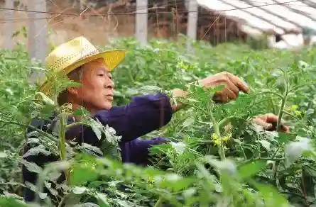 所有职业列表(女生适合什么职业)插图13
