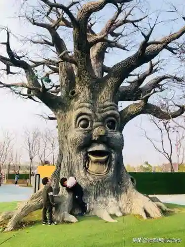 洛克王国紫藤快速获得(洛克王国紫藤150怎么弄)插图61