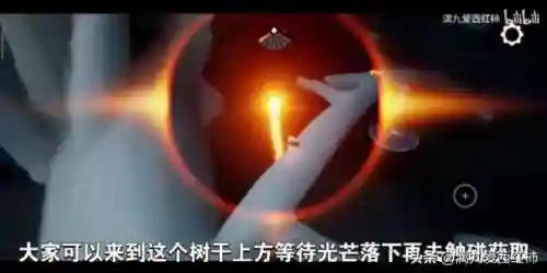 光遇魔法季任务攻略(光遇失落方舟任务攻略)插图5