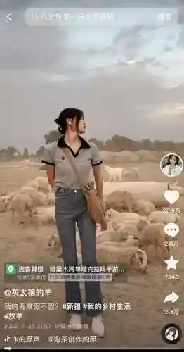荒漠屠夫图片(你长得好像上单鳄鱼荒漠屠夫)插图8