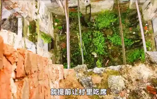 荒野城堡最强阵容搭配(荒野迷城阵容推荐最新)插图4