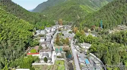 乡村舞者阵容搭配(乡村乐配什么阵容)插图1