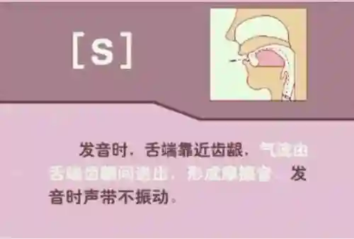 英语音标发音表(48个音标大全表图片)插图35