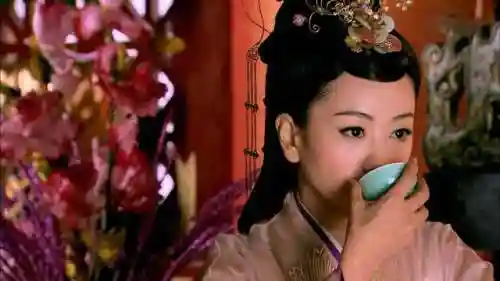凤凰心计乐师阵容搭配(宫廷计最强阵容搭配)插图6
