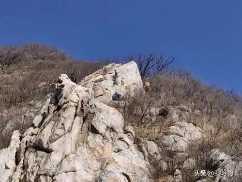 仙境游记推荐阵容搭配(歧路旅人2阵容搭配)插图19