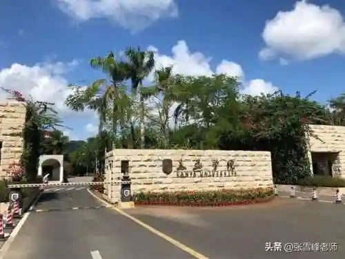 人工学院3攻略(人工学院2PC版详细攻略)插图3