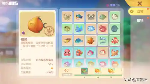 摩尔庄园传说鱼怎么钓(钓到传说鱼怎么处理)