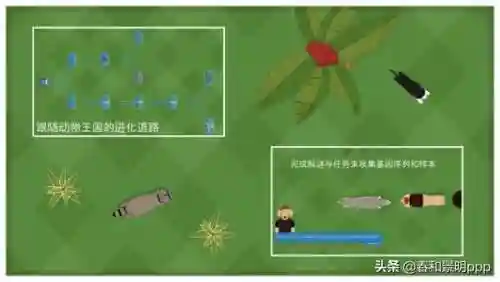 孢子2生物进化中文版(孢子进化5手机中文版下载)插图1