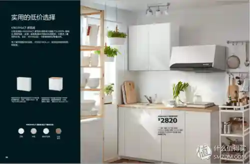 洛克号储物仓的宠物怎么捕捉(洛克号储物仓百科)插图57