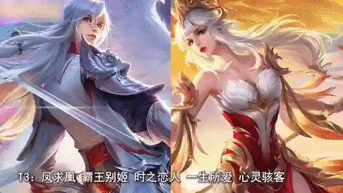 王者情侣组合阵容搭配(王者荣耀最强二人阵容)插图4