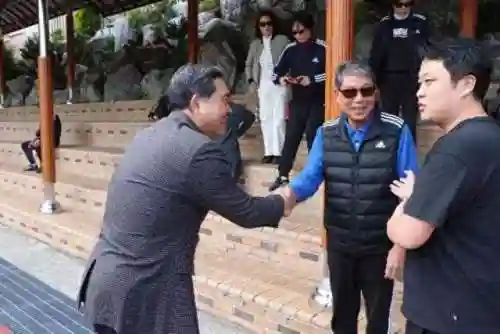 根宝最佳阵容搭配(口袋妖怪最强阵容搭配)