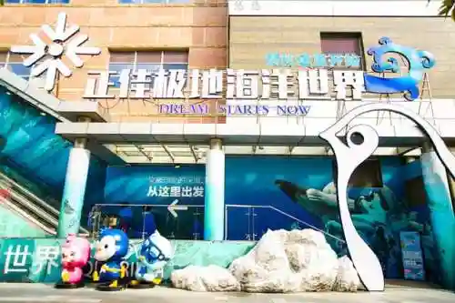 炫舞极地搭配阵容(炫舞时尚先锋sss搭配)插图8