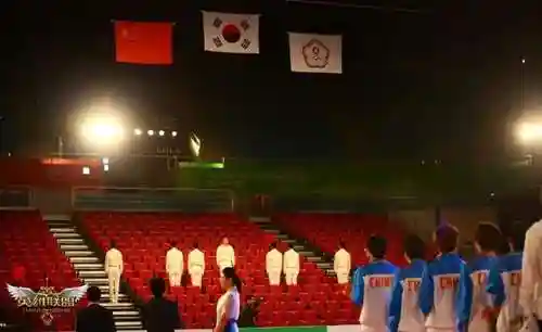 中国英雄联盟战队(LOL所有战队名单)插图4