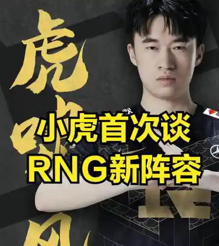 上单小虎阵容搭配(典韦适合什么阵容)