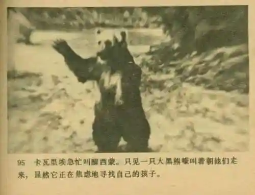 王中王马王中王资料大全(澳门王中王100%的资料)插图97