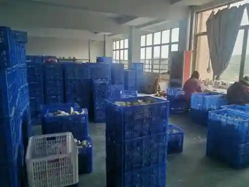 一天能赚2万的黑方法(急需30万最好的办法)