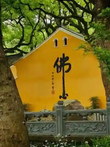 火力苏打新手阵容搭配(阴阳师新手阵容)
