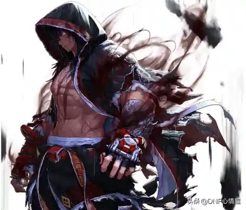 男格斗家三次觉醒(综合格斗之父)插图6