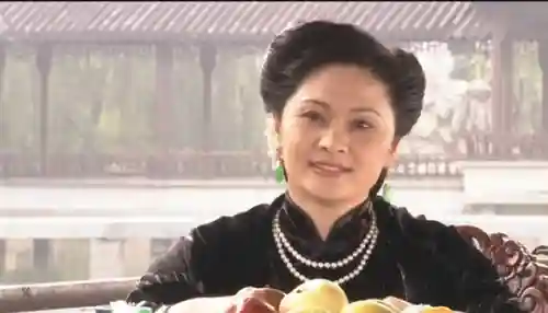 大宅门配角阵容搭配(大宅门全体演员表)插图8
