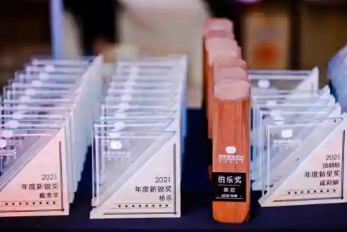 盛夏未来阵容搭配攻略(盛世芳华什么阵容最好)