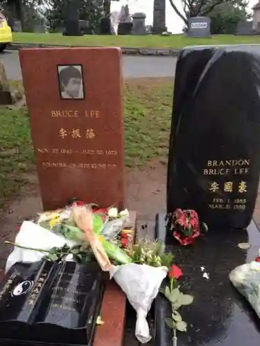 国外12小小(小俄罗斯)插图13