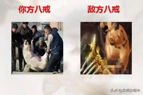 敌我英雄阵容搭配图片(英雄联盟最新下棋阵容)