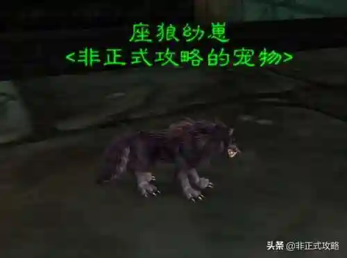 黑石塔下层地图详解(黑下副本入口怎么走 图解)插图2
