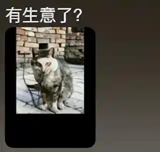 赏金猎人猫咪阵容搭配(赏金猎人阵容怎么运营)插图18