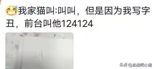 猫咪最新永久地域网名(猫咪的最新网名自动跳转)插图6 猫咪最新永久地域网名(猫咪的最新网名自动跳转)插图6