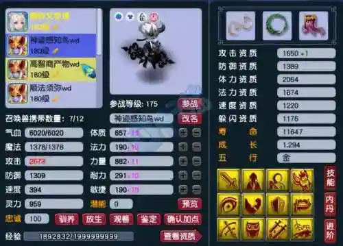 175固伤阵容搭配(175法系带什么套装最好)插图11