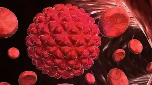 血小板增多症能治好吗(治疗血小板高的特效药)