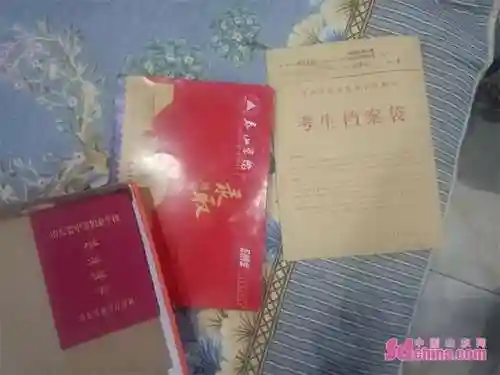 一骑学院阵容搭配(S1魏骑t0最强阵容一览表)插图4