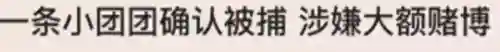刚开服的游戏(最新开服手游时间表)插图20