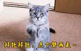 英雄联盟最强战队(国内lol战队排名)插图6