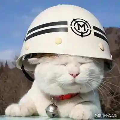 稀有漂亮特殊符号游戏名(女生昵称带特殊符号唯美)