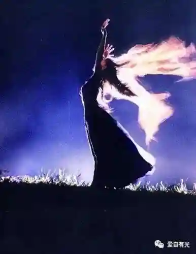 从射雕开始霸美(射雕重生之我是穆念慈)插图16