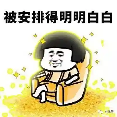 北辰软件库(北辰车库合集软件资料网站)插图4 北辰软件库(北辰车库合集软件资料网站)插图4