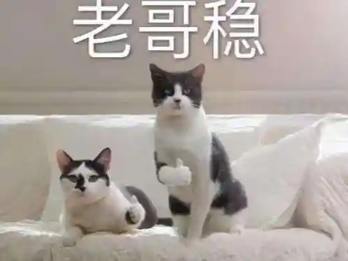 伯瓦尔为什么复活弗丁(巫妖王伯瓦尔)插图7